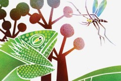WHY MOSQUITOES BUZZ IN PEOPLE’S EARS … AND MORE STORIES FROM AFRICA