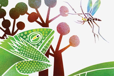 Animations of three award-winning children’s books round out the Family Film Day program: Why Mosquitoes Buzz in People’s Ears is a tall tale that sets off a chain of mishaps in the jungle. A Story, A Story relates how the Sky God once kept all the stories of the world in a box, until Ananse [...]